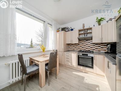 Продаж квартири 1+1 Valašské Meziříčí, Zdeňka Fibicha č. 16