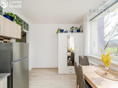 Prodej bytu 1+1 Valašské Meziříčí, Zdeňka Fibicha č. 1