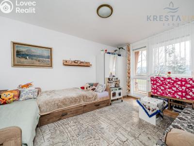 Prodej bytu 1+1 Valašské Meziříčí, Zdeňka Fibicha č. 2