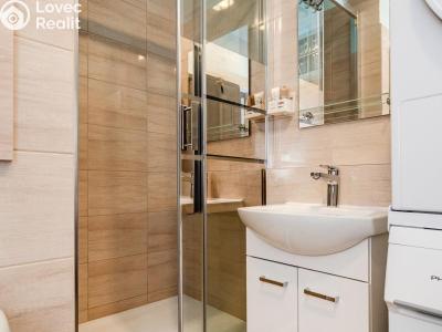 Продаж квартири 1+1 Valašské Meziříčí, Zdeňka Fibicha č. 7