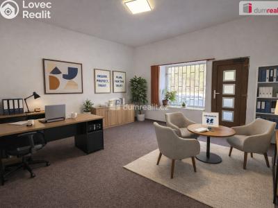 Rent commercial space Děčín, Litoměřická č. 1