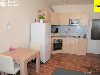 Pronájem bytu 1+KK Jihlava, Zimní č. 2