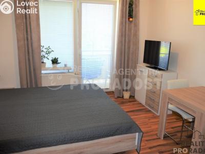 Pronájem bytu 1+KK Jihlava, Zimní č. 3