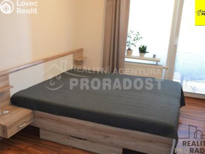 Pronájem bytu 1+KK Jihlava, Zimní č. 4