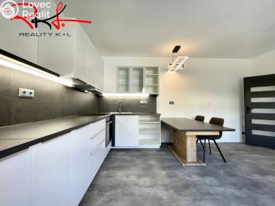 Pronájem bytu 3+KK Mladá Boleslav, Ptácká č. 1