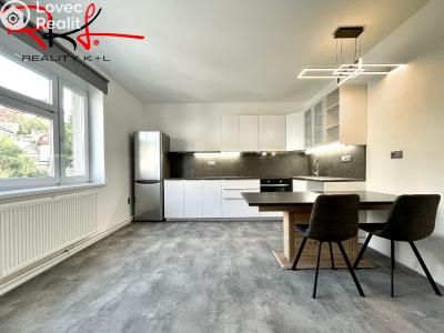 Pronájem bytu 3+KK Mladá Boleslav, Ptácká č. 1