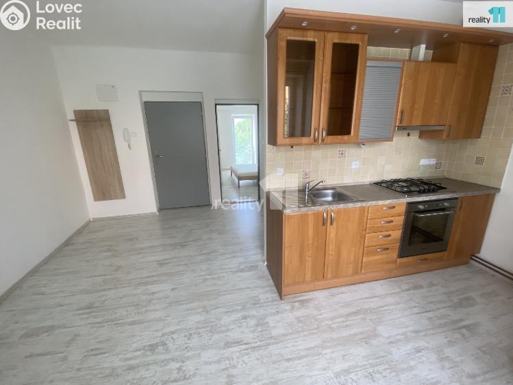 Аренда квартиры 1+1 Dobřany, Palackého č. 1