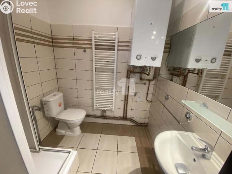 Аренда квартиры 1+1 Dobřany, Palackého č. 5