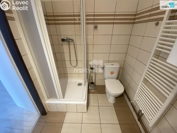 Аренда квартиры 1+1 Dobřany, Palackého č. 6