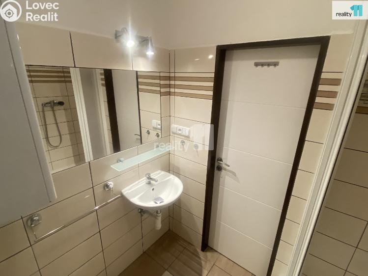 Аренда квартиры 1+1 Dobřany, Palackého č. 7