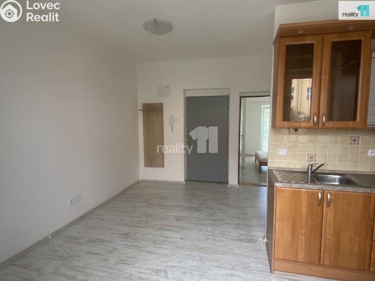 Аренда квартиры 1+1 Dobřany, Palackého č. 8