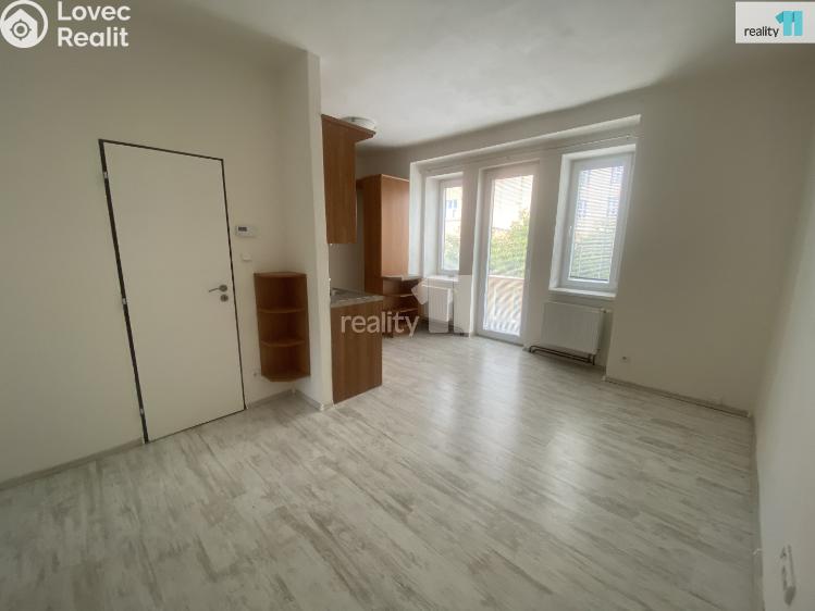 Аренда квартиры 1+1 Dobřany, Palackého č. 9