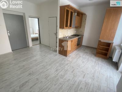 Аренда квартиры 1+1 Dobřany, Palackého č. 2