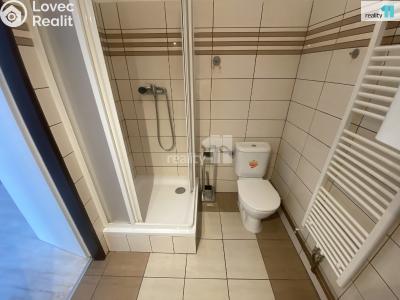 Аренда квартиры 1+1 Dobřany, Palackého č. 6