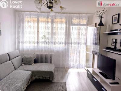 Продажа квартиры 3+1 Sokolov, Alšova č. 6