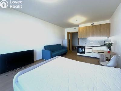 Pronájem bytu 1+KK Praha, Poděbradská č. 1