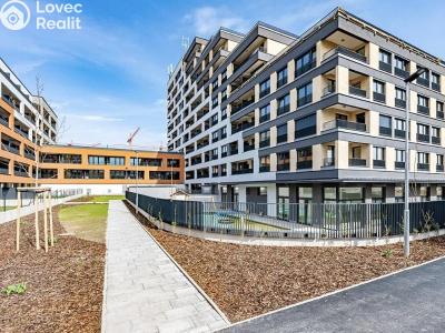 Pronájem bytu 1+KK Praha, Poděbradská č. 2