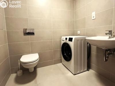 Pronájem bytu 1+KK Praha, Poděbradská č. 5