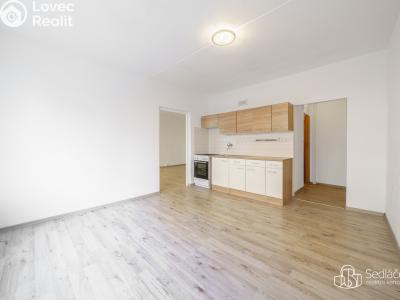 Prodej bytu 1+1 Sokolov, Švabinského č. 2