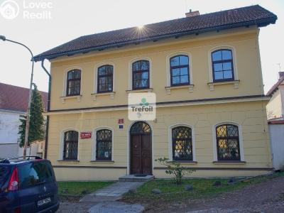 Pronájem rodinného domu Praha, Staré náměstí č. 2