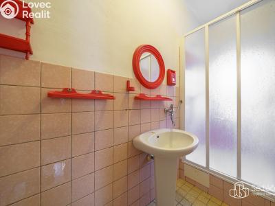 Prodej rodinného domu Habartov, Čs. lesů č. 8