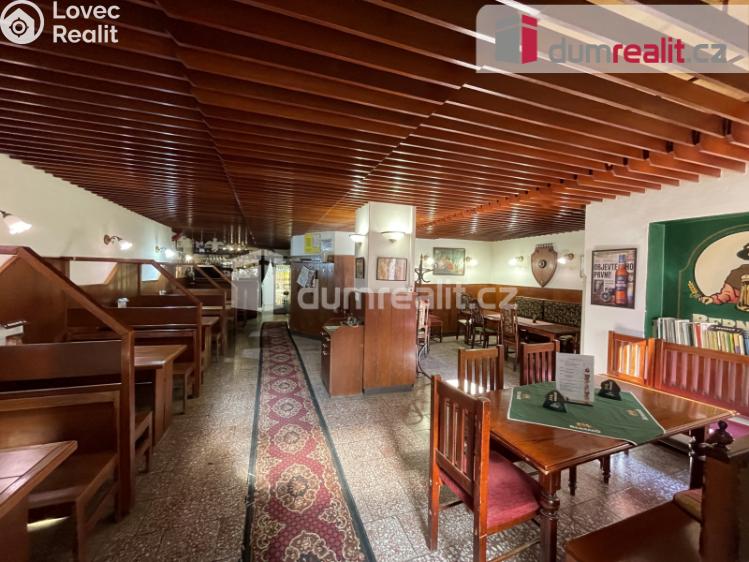 Rent commercial properties Opava, Ostrožná č. 1