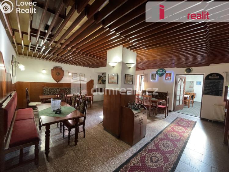 Rent commercial properties Opava, Ostrožná č. 6