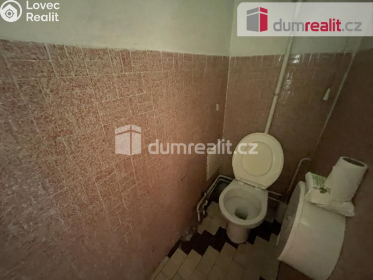 Rent commercial properties Opava, Ostrožná č. 8