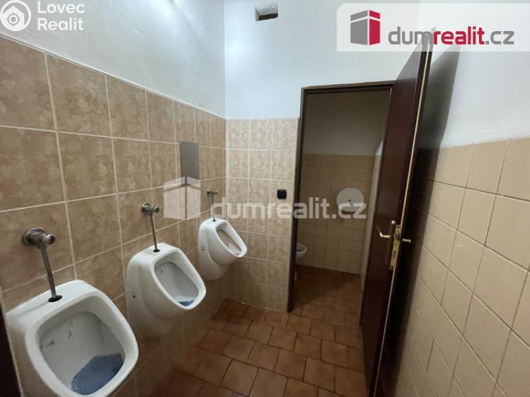 Rent commercial properties Opava, Ostrožná č. 10