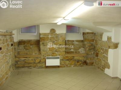 Rent commercial space Děčín, Křížová č. 1