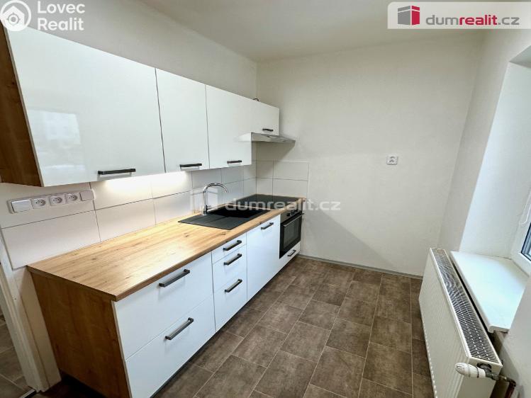 Pronájem bytu 1+1 Děčín, Lipová č. 1