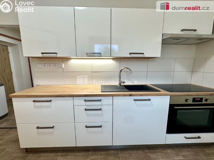 Pronájem bytu 1+1 Děčín, Lipová č. 2