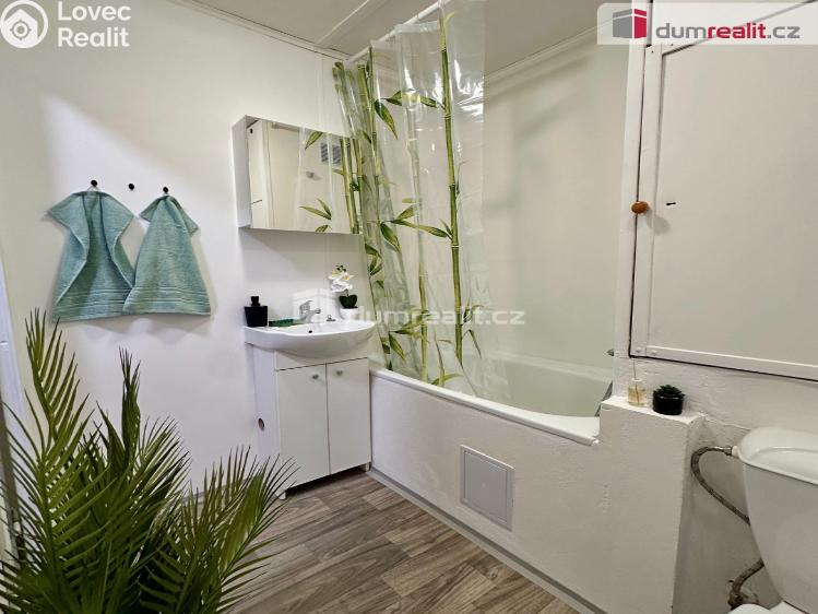 Pronájem bytu 1+1 Děčín, Lipová č. 12