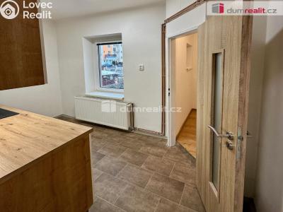 Pronájem bytu 1+1 Děčín, Lipová č. 5