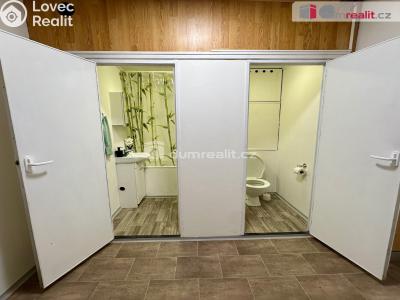 Pronájem bytu 1+1 Děčín, Lipová č. 11