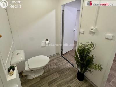 Pronájem bytu 1+1 Děčín, Lipová č. 12