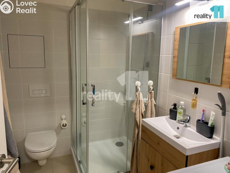 Pronájem bytu 1+KK Plzeň, K Zelené louce č. 6