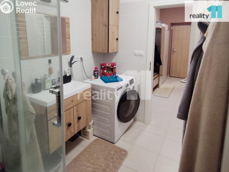 Pronájem bytu 1+KK Plzeň, K Zelené louce č. 7