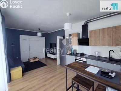 Pronájem bytu 1+KK Plzeň, K Zelené louce č. 3