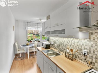 Sale apartment 3+1 Ústí nad Labem, Jindřicha Plachty č. 3