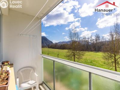 Sale apartment 3+1 Ústí nad Labem, Jindřicha Plachty č. 4