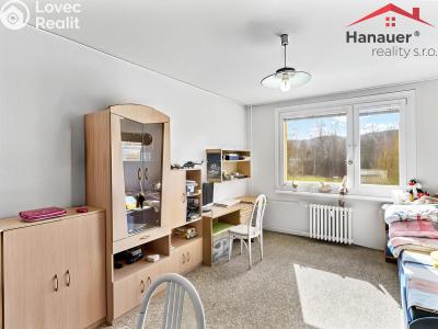 Prodej bytu 3+1 Ústí nad Labem, Jindřicha Plachty č. 6