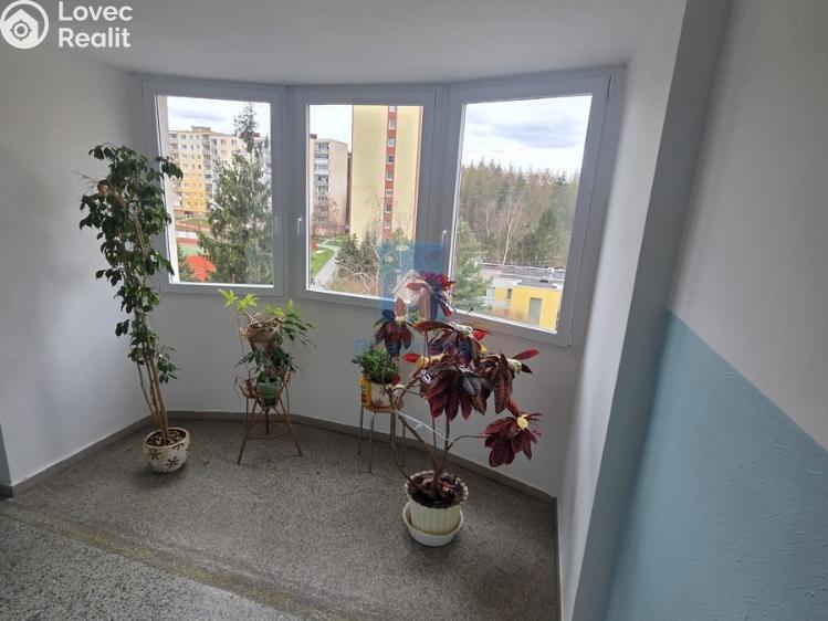 Pronájem bytu 3+1 Plzeň, Tachovská č. 28