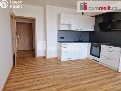 Оренда квартири 2+KK České Budějovice, České Vrbné č. 5