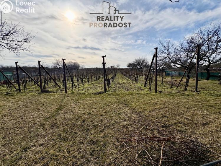 Prodej ubytovacího zařízení Valtice č. 9