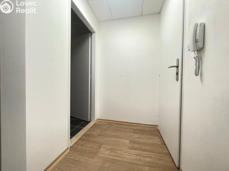 Pronájem bytu 1+KK Staré Hradiště, U Pošty 15 č. 8