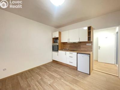 Pronájem bytu 1+KK Staré Hradiště, U Pošty 15 č. 2