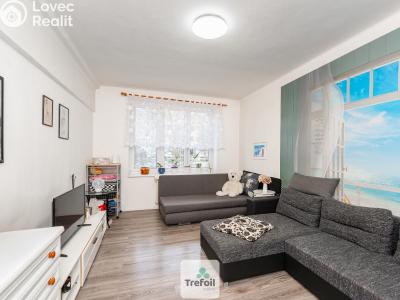 Sale apartment 3+1 Neratovice, Dr. E. Beneše č. 2