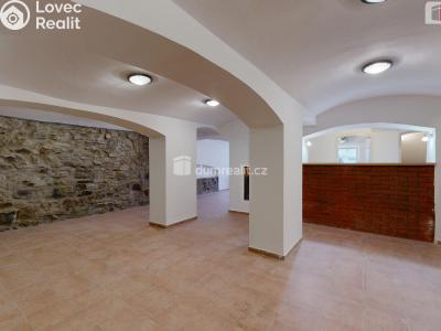 Rent commercial properties Opava, Pekařská č. 1