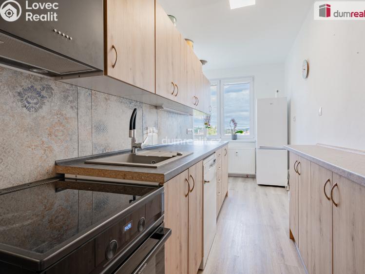 Pronájem bytu 3+1 Český Krumlov, Sídliště Plešivec č. 2